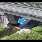 左会津川 中央橋（動画版）のライブカメラ|和歌山県田辺市のサムネイル