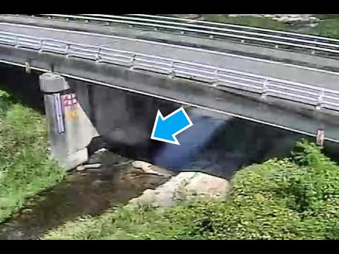 左会津川 中央橋（動画版）のライブカメラ|和歌山県田辺市のサムネイル