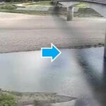 熊野川 下向橋（動画版）のライブカメラ|和歌山県田辺市のサムネイル