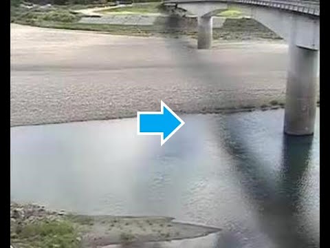 熊野川 下向橋（動画版）のライブカメラ|和歌山県田辺市のサムネイル