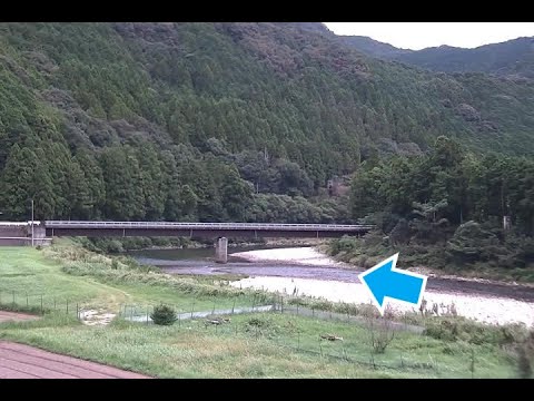 古座川 町道相瀬橋 上流（動画版）のライブカメラ|和歌山県古座川町のサムネイル