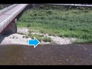 和歌山県すさみ町 周参見川 望児橋（動画版）のライブカメラ