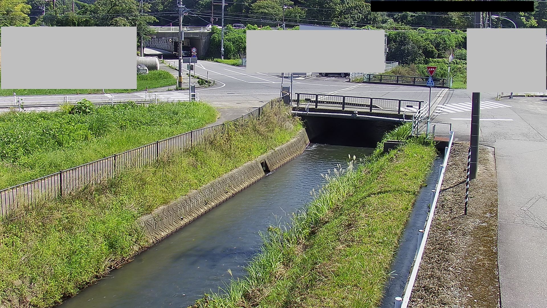 山川用水（徳山町）のライブカメラ|石川県能美市のサムネイル