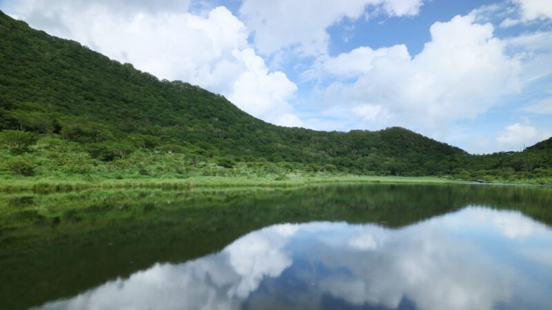 前橋市大手町（紅雲町2丁目交差点付近）のライブカメラ|群馬県前橋市のサムネイル