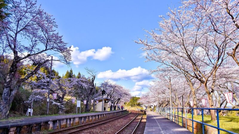 能登鹿島駅（能登さくら駅）のライブカメラ|石川県穴水町のサムネイル