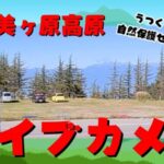 美ヶ原自然保護センター駐車場のライブカメラ|長野県上田市のサムネイル
