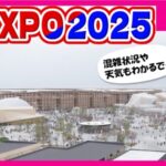 カンテレより大阪・関西万博会場「東ゲート」付近のライブカメラ|大阪府大阪市のサムネイル