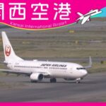 カンテレより関西国際空港のライブカメラ|大阪府泉佐野市のサムネイル