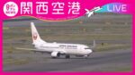 カンテレより関西国際空港のライブカメラ|大阪府泉佐野市のサムネイル