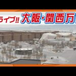 ABCより大阪・関西万博東ゲート広場のライブカメラ|大阪府大阪市のサムネイル