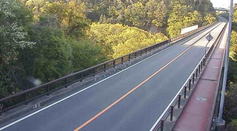 中田切ふれあい橋のライブカメラ|長野県飯島町のサムネイル