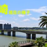 国道220号 橘橋・大淀川のライブカメラ|宮崎県宮崎市のサムネイル
