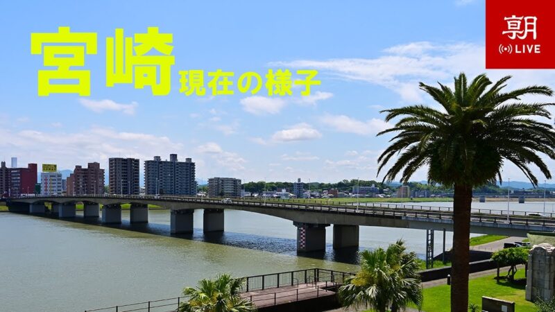 国道220号 橘橋・大淀川のライブカメラ|宮崎県宮崎市のサムネイル