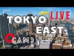 勝どき駅前・隅田川のライブカメラ|東京都中央区のサムネイル