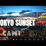 勝どき周辺・隅田川・築地市場跡地のライブカメラ|東京都中央区のサムネイル