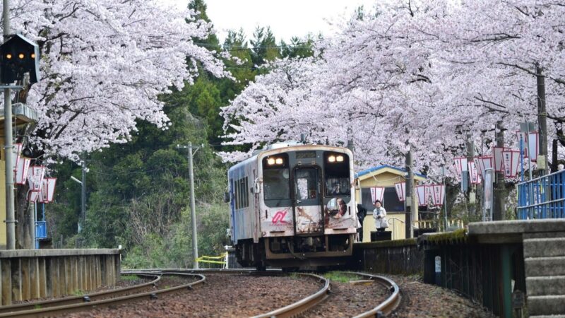 のと鉄道七尾線・能登鹿島駅周辺のライブカメラ|石川県穴水町のサムネイル
