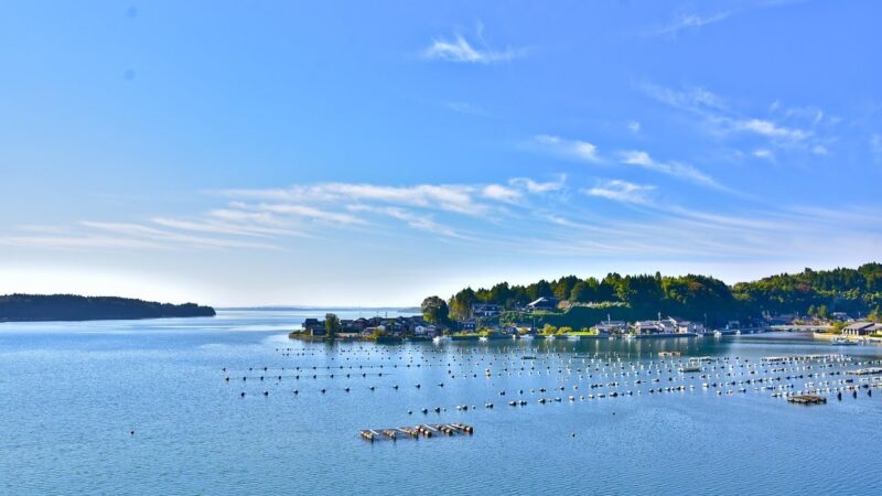 中居湾ふれあいパーク・七尾湾のライブカメラ|石川県穴水町のサムネイル