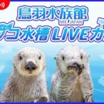 鳥羽水族館ラッコ水槽のライブカメラ|三重県鳥羽市のサムネイル