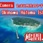 鳩間島のライブカメラ|沖縄県竹富町のサムネイル