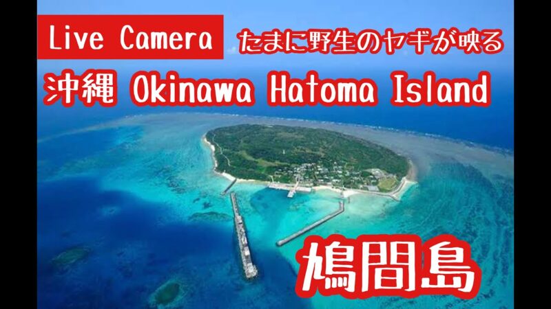八重山諸島・鳩間島のライブカメラ|沖縄県竹富町のサムネイル