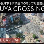 渋谷スクランブル交差点・渋谷ハチ公口前のライブカメラ|東京都渋谷区のサムネイル