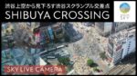 渋谷スクランブル交差点・渋谷ハチ公口前のライブカメラ|東京都渋谷区のサムネイル
