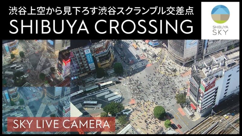 渋谷スクランブル交差点・渋谷ハチ公口前のライブカメラ|東京都渋谷区のサムネイル