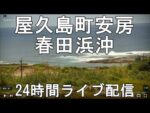 春田浜タイドプール沖のライブカメラ|鹿児島県屋久島町のサムネイル