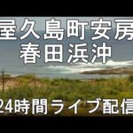 春田浜タイドプール沖のライブカメラ|鹿児島県屋久島町のサムネイル