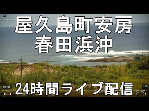 春田浜タイドプール沖のライブカメラ|鹿児島県屋久島町のサムネイル