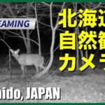 空知地方の自然観察のライブカメラ|北海道のサムネイル