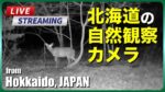 空知地方の自然観察のライブカメラ|北海道のサムネイル