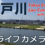 市川市から江戸川のライブカメラ|千葉県市川市のサムネイル
