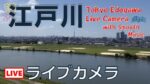 市川市から江戸川のライブカメラ|千葉県市川市のサムネイル