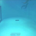 みやじマリン宮島水族館スナメリのライブカメラ|広島県廿日市市のサムネイル
