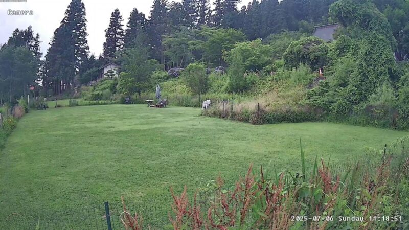霊桃寺ドッグランのライブカメラ|岩手県奥州市のサムネイル