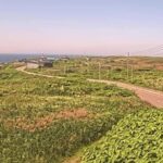 御崎のライブカメラ|北海道利尻町のサムネイル