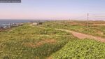 御崎のライブカメラ|北海道利尻町のサムネイル
