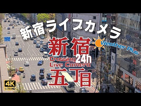 テイケイより新宿五丁目・歌舞伎町付近のライブカメラ|東京都新宿区のサムネイル