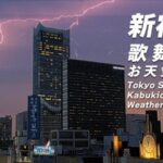テイケイより新宿・歌舞伎町一丁目上空のライブカメラ|東京都新宿区のサムネイル
