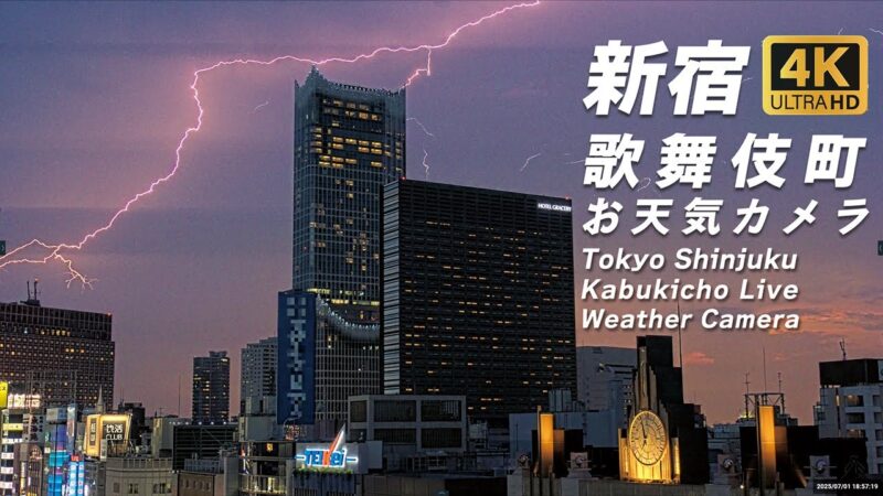 テイケイより新宿・歌舞伎町一丁目上空のライブカメラ|東京都新宿区のサムネイル
