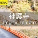 神護寺のライブカメラ|京都府京都市のサムネイル