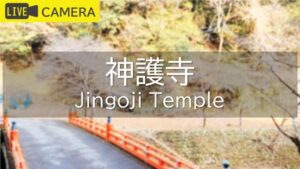 京都府京都市 神護寺のライブカメラ