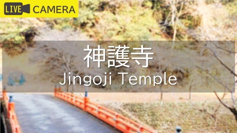 神護寺のライブカメラ|京都府京都市のサムネイル