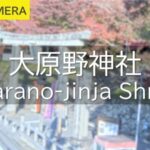 大原野神社のライブカメラ|京都府京都市のサムネイル