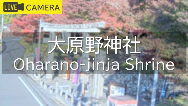 大原野神社のライブカメラ|京都府京都市のサムネイル