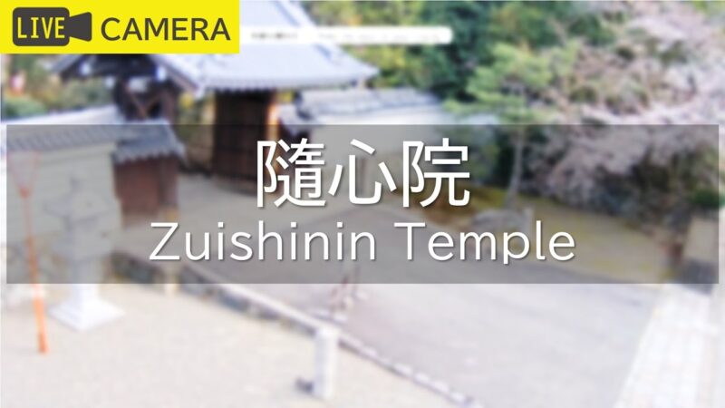 随心院のライブカメラ|京都府京都市のサムネイル