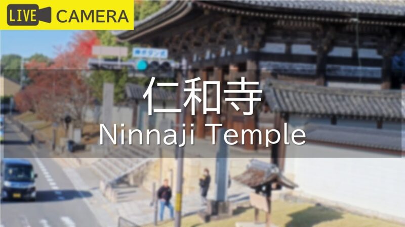 仁和寺のライブカメラ|京都府京都市のサムネイル