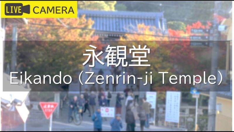 永観堂のライブカメラ|京都府京都市のサムネイル
