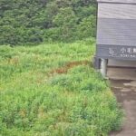 アライマウンテンリゾート小手無リフトのライブカメラ|新潟県妙高市のサムネイル